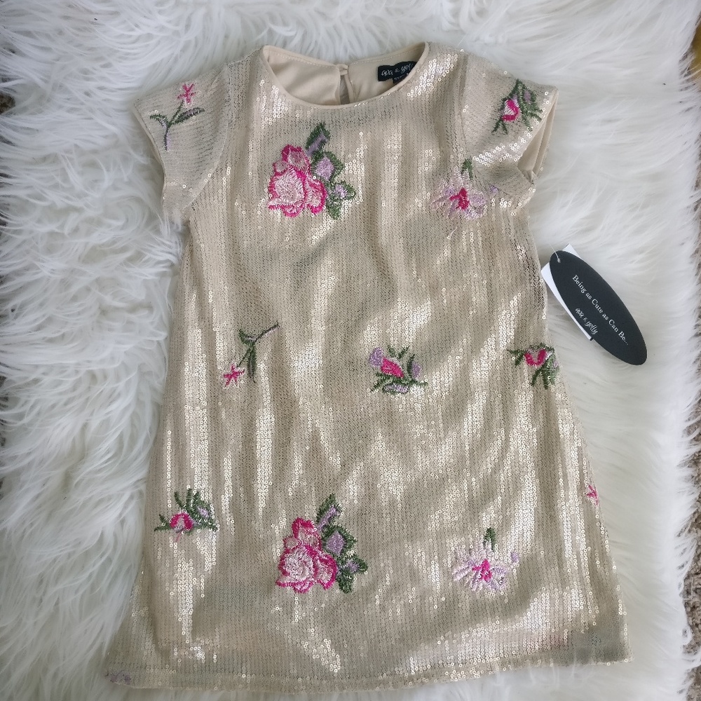 Embroidered Sequin Spring/Easter Dress